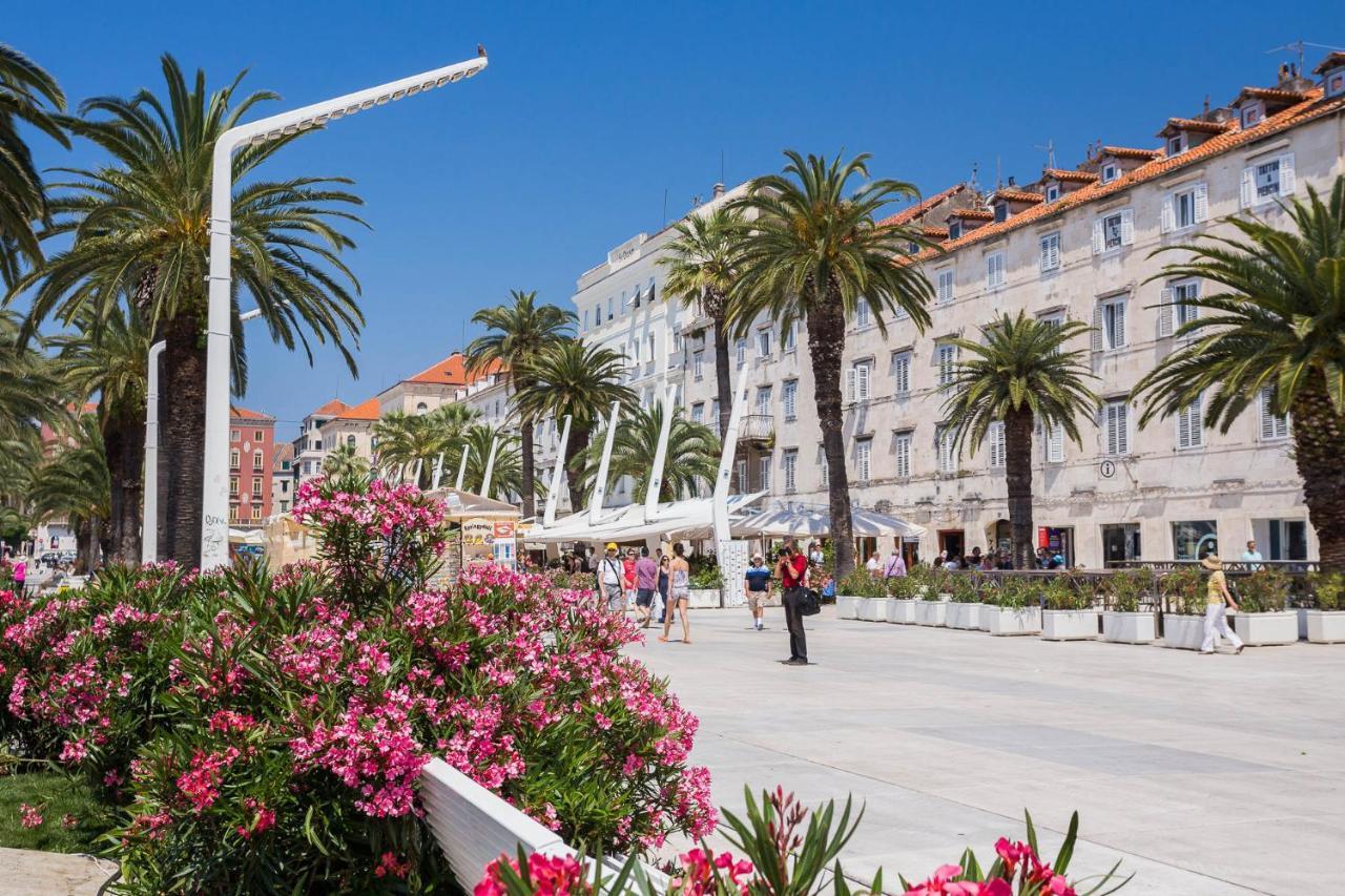 Appartments Villa Daria Marusici  Εξωτερικό φωτογραφία